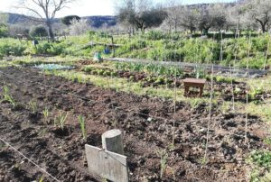 Hortum meunm, orti in affitto a Caserta